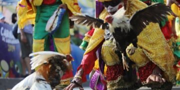 En video | “La pelea de gallos es una tradición del Congo campesino”: bailarín de Congo