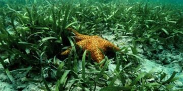 Declaran nueva área protegida a Sawairu en La Guajira