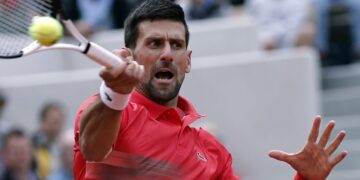 Djokovic eliminó a Schwartzman y quedó a las puertas de un duelo contra Nadal