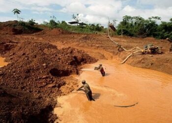 ONG denuncia destrucción de más de 1.200 hectáreas de selva en Venezuela