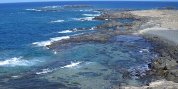Las Islas Salvajes de Madeira, referente entre las áreas marinas protegidas