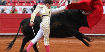 Congreso comienza a impulsar la prohibición de corridas de toros