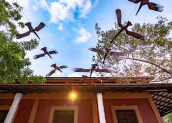 Gobernación recomienda tres exposiciones para disfrutar de las artes plásticas en el Atlántico