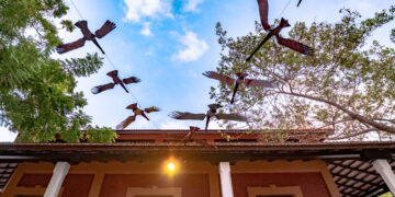 Gobernación recomienda tres exposiciones para disfrutar de las artes plásticas en el Atlántico