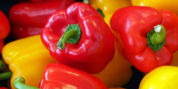 Colombia exporta el primer contenedor de pimentón hacia Estados Unidos