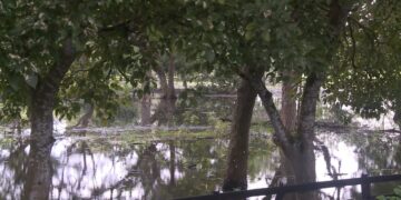 II Foro Gobernanza del agua en el Bajo Magdalena
