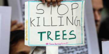 Foro climático de Estambul pide más sensibilización para prevenir desastres climáticos