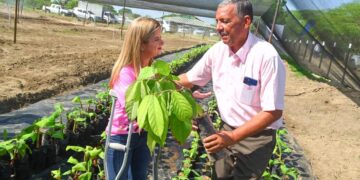 “Aprobados créditos para siembra de cacao en Suan y Santa Lucía”
