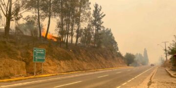 Incendios en Chile: Sube a 22 el número de muertos