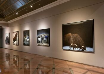 Con exposición exclusiva de Manzur, Casa Botero inaugura su espacio artístico