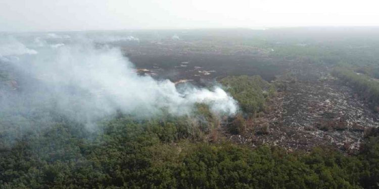 Foto: Bomberos Sitionuevo.